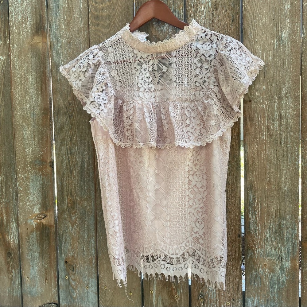 Esley Blush Lace Ruffled Yoke Dress Top